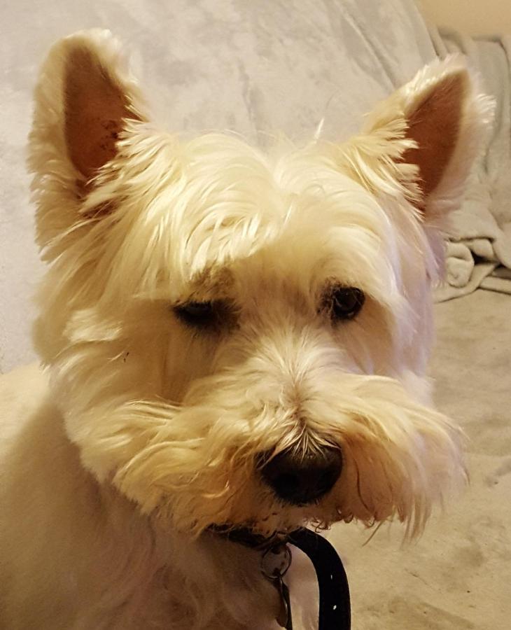 Tanleys B&B Grantown-on-Spey Luaran gambar