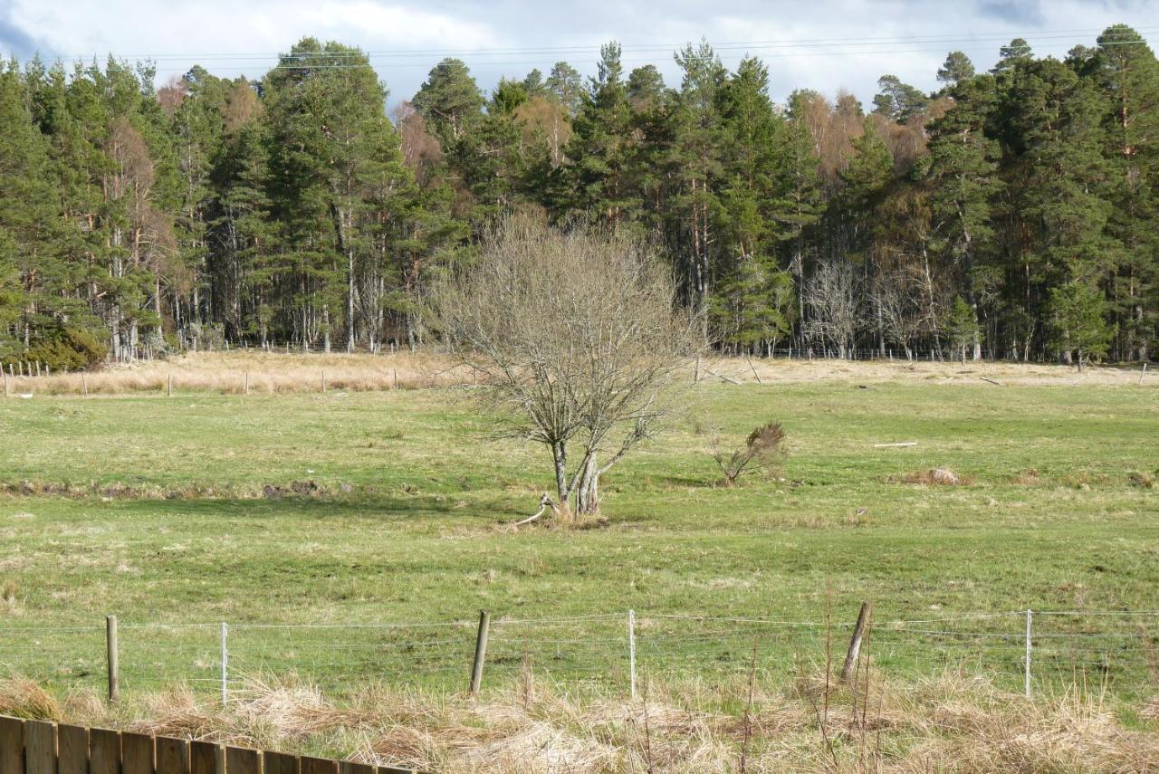 Tanleys B&B Grantown-on-Spey Luaran gambar